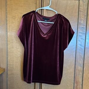Sanctuary women’s Velvet V-Neck Top — Burgundy